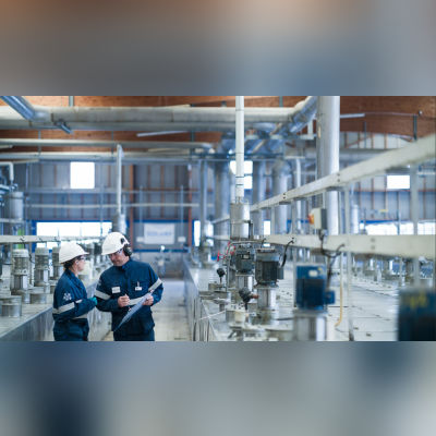 Rare Earth and Metal oxides